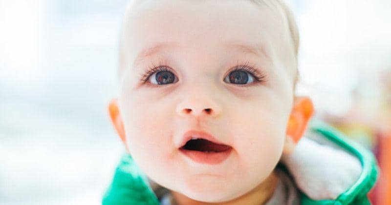 Freepik/Freepic.diller