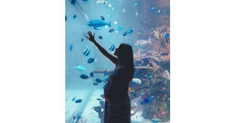 Instagram.com/mrssharena