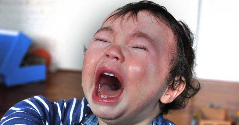 Flickr.com/harald groven