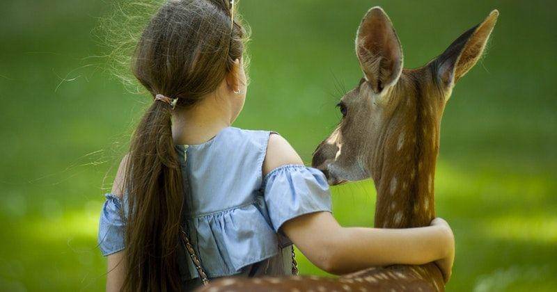 Pexels/Oleksandr Pidvalnyi