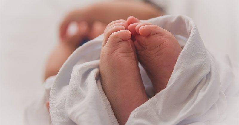 Unsplash/Luma Pimentel