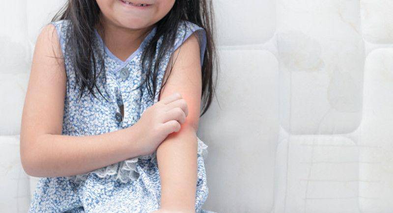 Freepik/kwanchaichaiudom