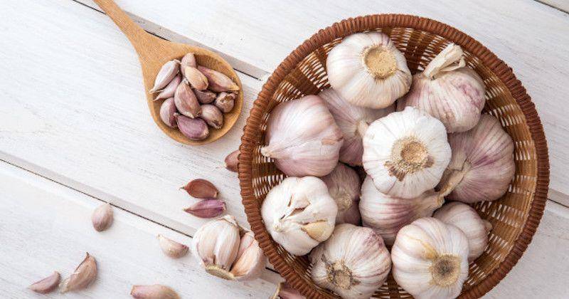 7 Manfaat Bawang Putih untuk Bayi
