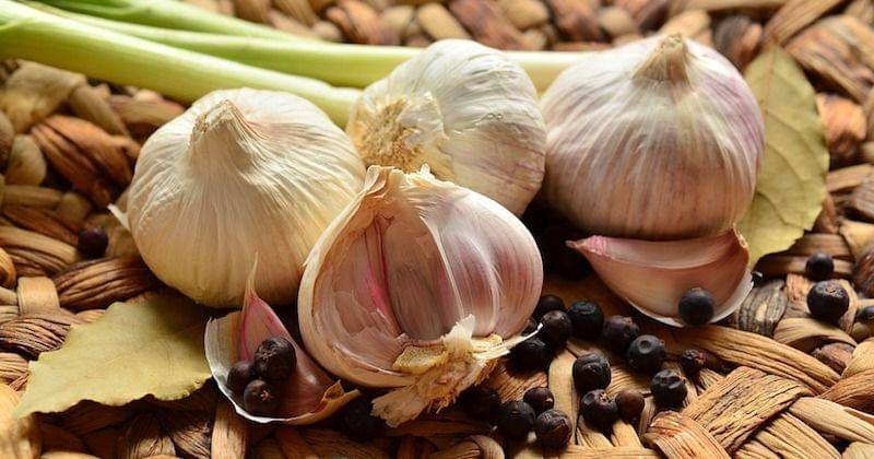 Pixabay/congerdesign