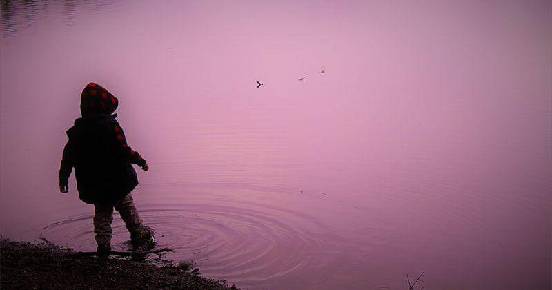 Unsplash/Darius Schumann