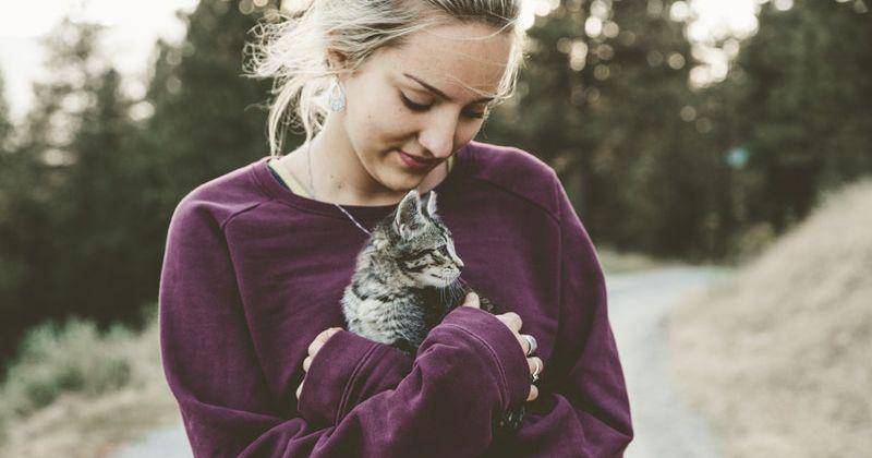 Pelihara Kucing Bisa Menyebabkan Perempuan Susah Hamil, Benarkah?