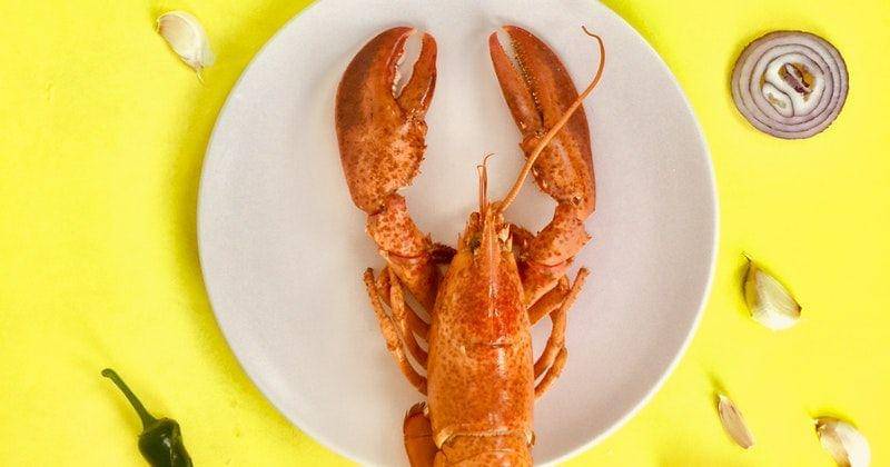 Pexels/Toa Heftiba Şinca