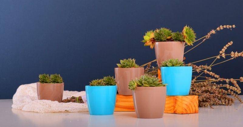 Pixabay/Bigplastshop