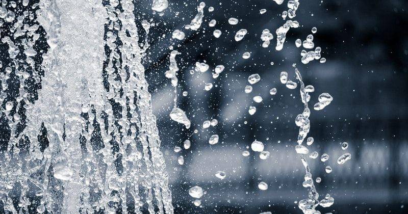 Pexels/Hilary Halliwell