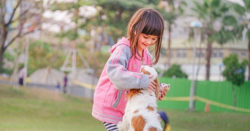 Pexels/Kai-Chieh Chan