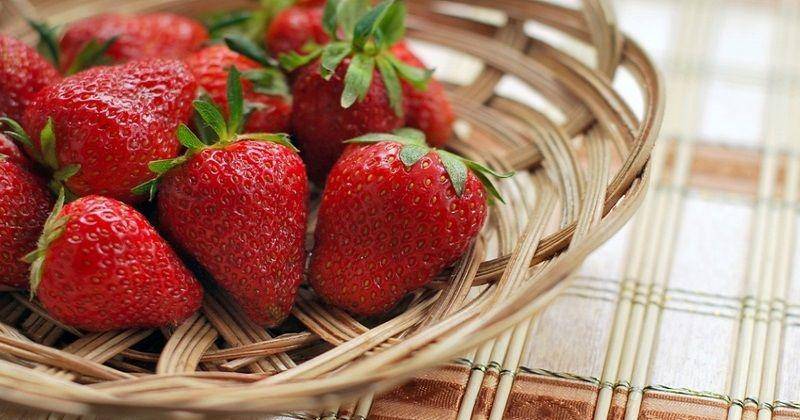 Pixabay/Croisy