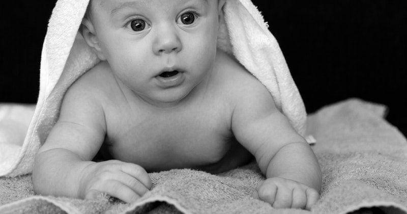 Pexels/Public Domain Pictures