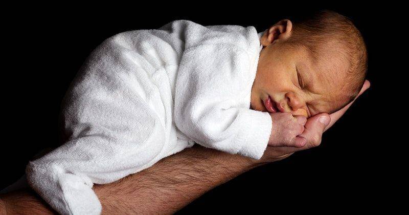 Pexels/Public Domain Pictures