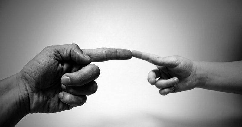 Pexels/Public Domain Pictures