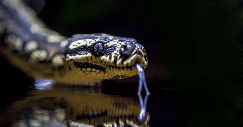 Unsplash/David Clode