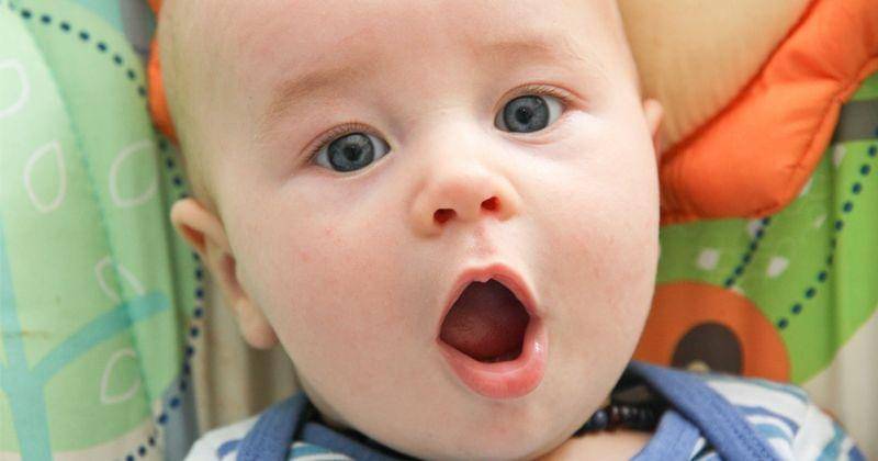 publicdomainpictures.net