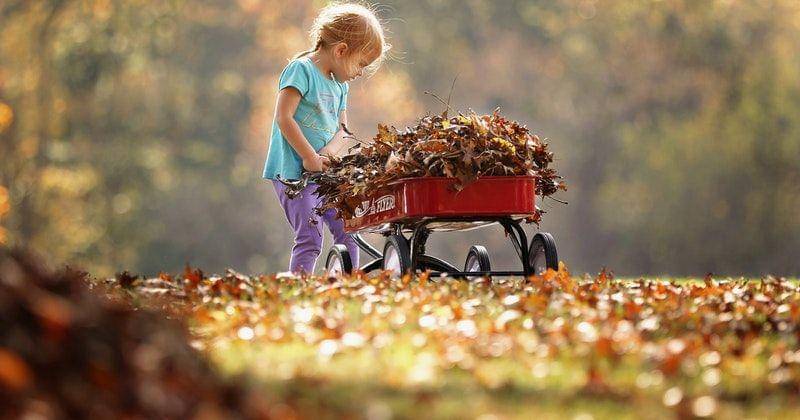 Pexels/Jennifer Murray