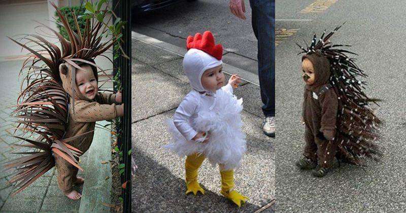 Pinterest.com/Dian Juarza