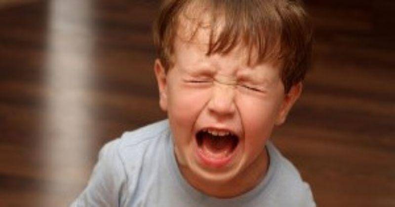 westcrosscompany.com