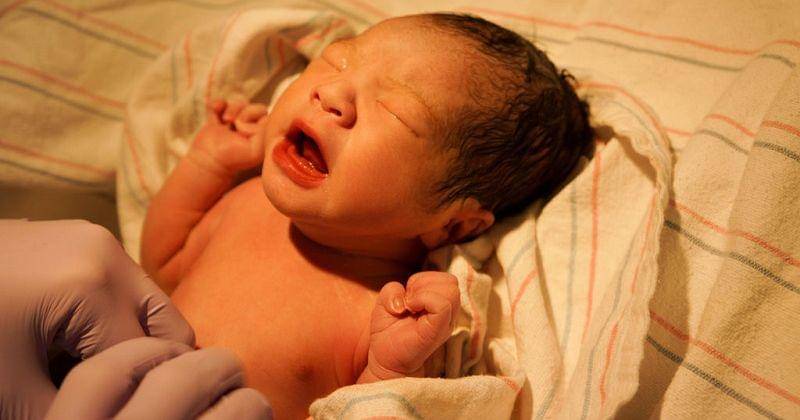 Flickr.com/jeffhebear