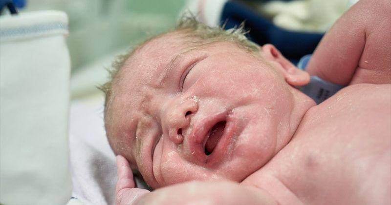 Pixabay/engin akyurt