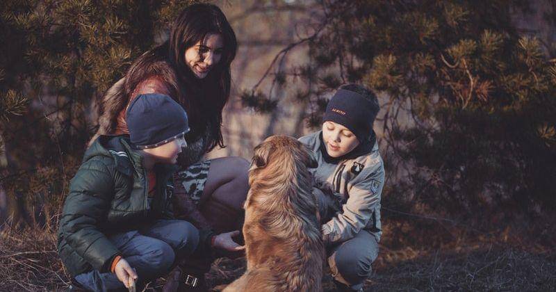 Pexels/Oleksandr Pidvalnyi