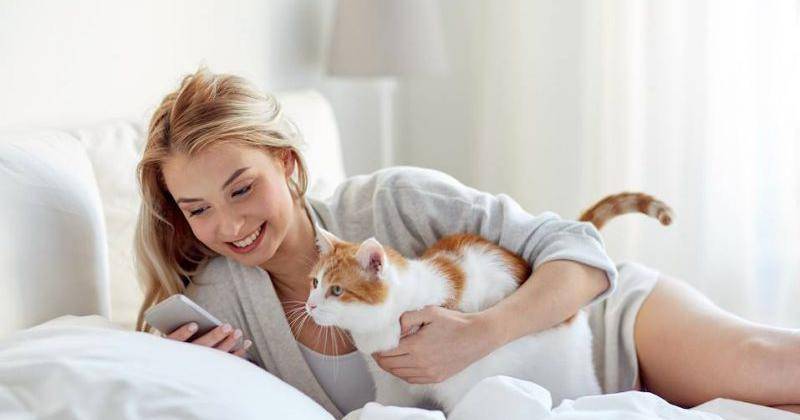 thesprucepets.com