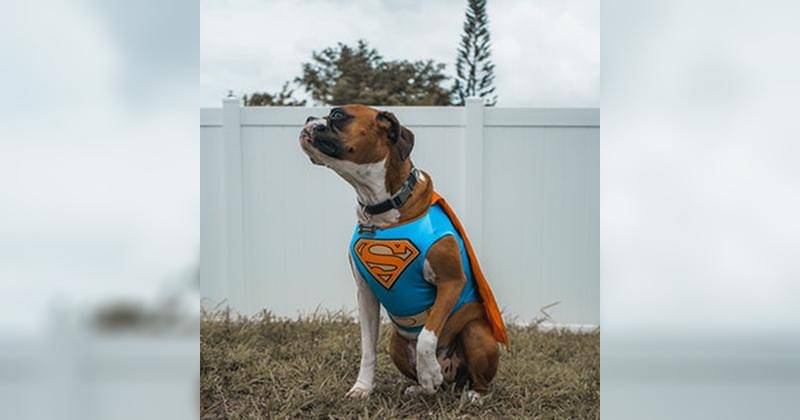 Unsplash/Elias Castillo