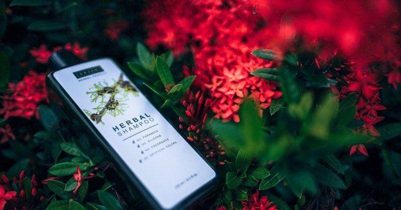 Pexels/Fancycrave.com