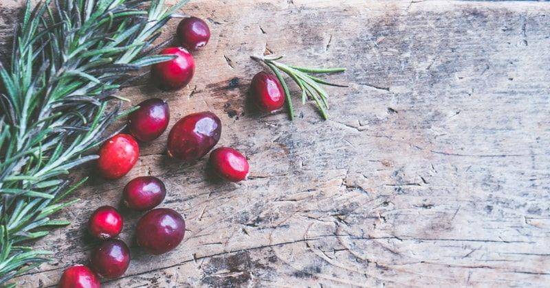 Pexels/Jessica Lewis