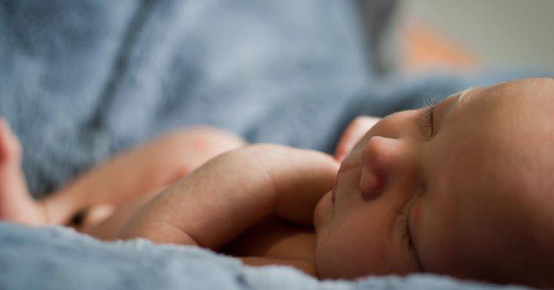 Unsplash/Carlo Navarro