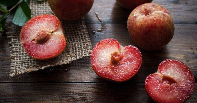 Pixabay/Ponce_Photography