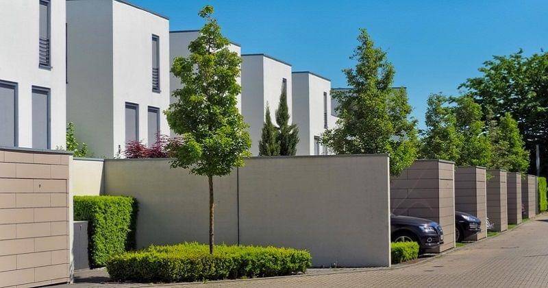 Pixabay/Michaelgaida