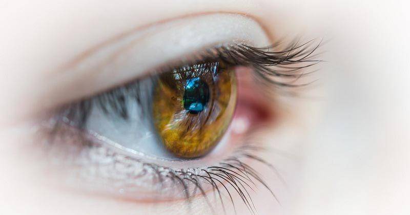 Unsplash/patrick brinksma