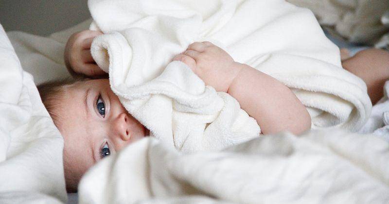 Unsplash/michal bar haim