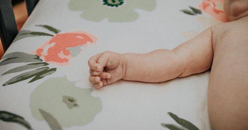 Unsplash/Ashley Schulze