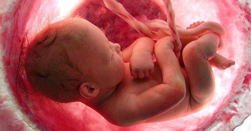 ultimatelifestylist.com