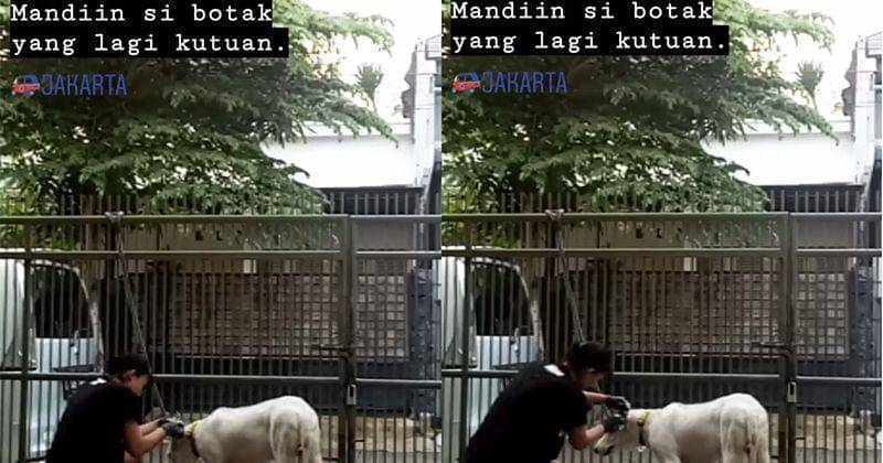 Instagram.com/shareefadaanish