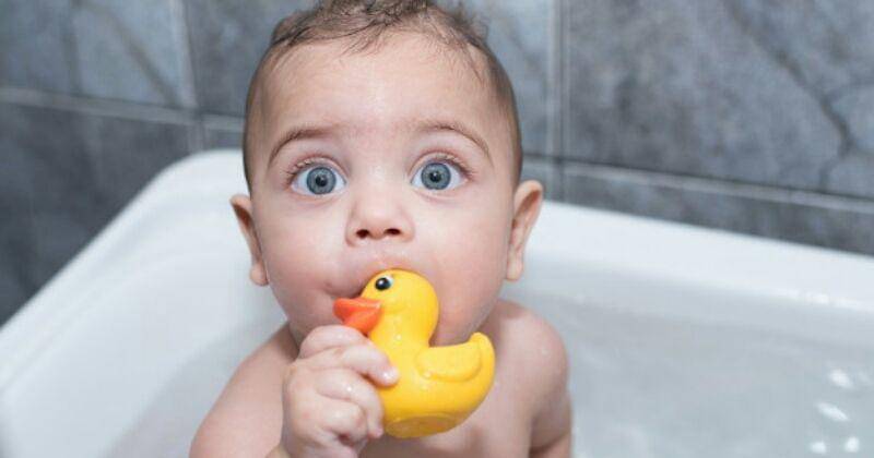 User3802032 / Freepik