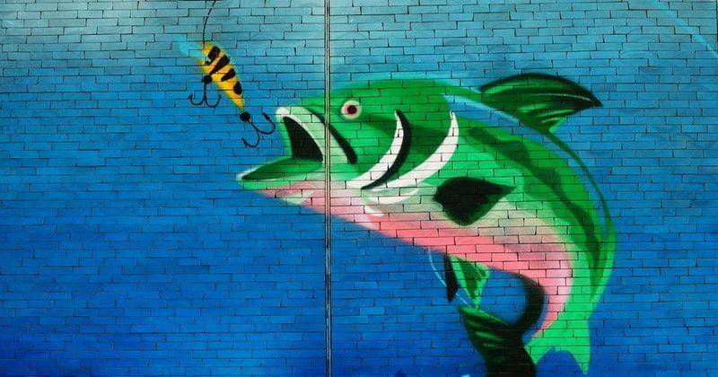 Pexels/The Lazy Artist Gallery