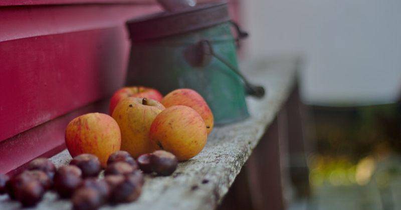 Unsplash/ Lamine Bendib