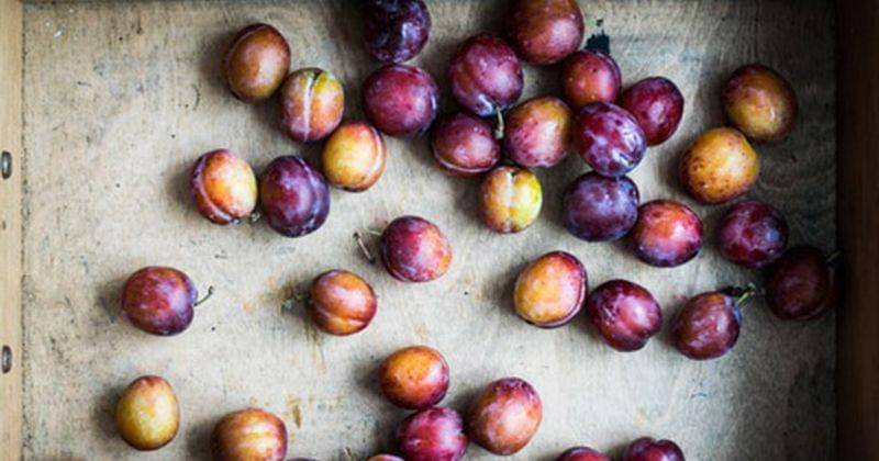 Unsplash/Monica Grabskowska