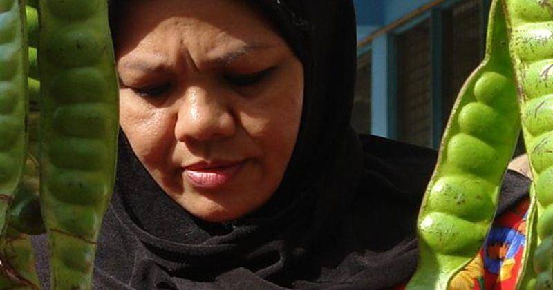 flickr.com/charles roffey