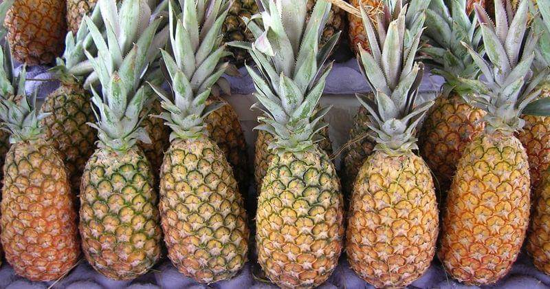 flickr.com/victoria rachitzky hoch