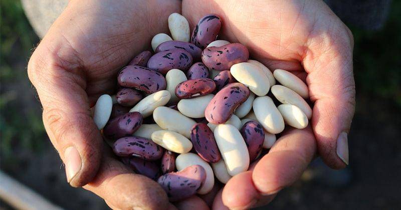 maxpixel/canon eos 750d