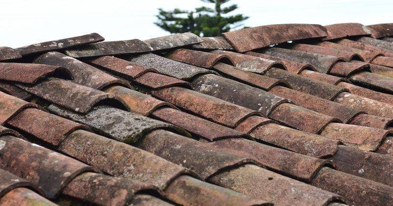 Pexels/Miguel Á. Padriñán