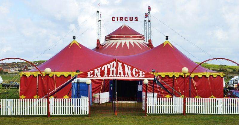 Pinterest.com/denis romas