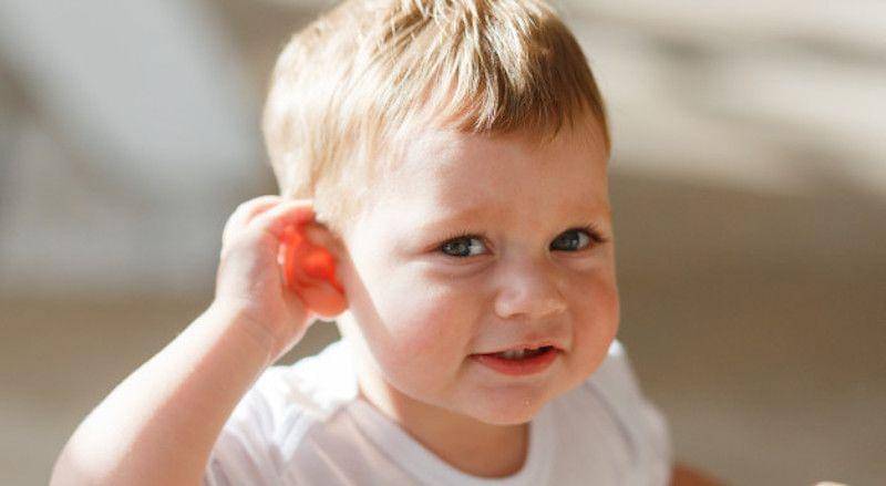 Freepik/freepic.diller