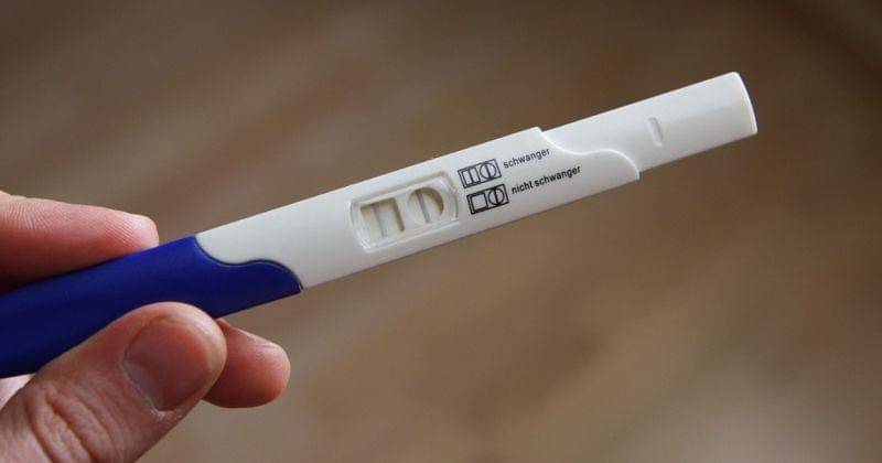 Pixabay/Juliafiedler