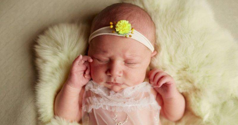 Freepik/freepic.diller